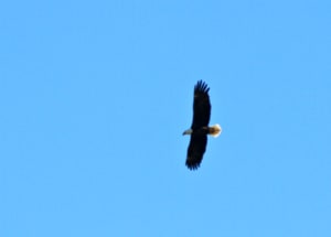 IMG_8416